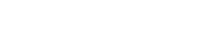 Blossom IT Company